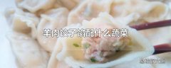 羊肉饺子馅配什么蔬菜