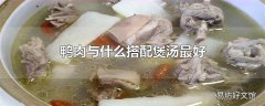 鸭肉与什么搭配煲汤最好