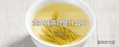 黄金芽茶叶是什么茶