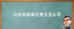 社会实践单位意见怎么写