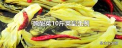 腌酸菜10斤菜盐比例