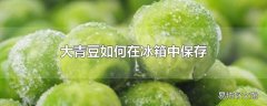 大青豆如何在冰箱中保存