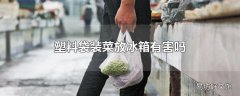 塑料袋装菜放冰箱有害吗