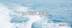 海水能消毒杀菌吗