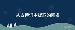 从古诗词中提取的网名