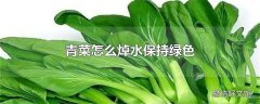 青菜怎么焯水保持绿色