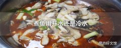 煮鱼用开水还是冷水