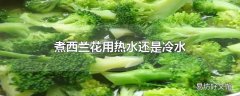 煮西兰花用热水还是冷水