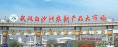 武汉白沙洲市场属于什么区