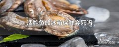 活鲍鱼放冰箱保鲜会死吗