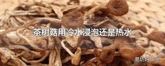 茶树菇用冷水浸泡还是热水