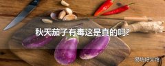 秋天茄子有毒这是真的吗?