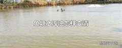 鱼塘水浑浊怎样变清