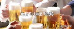 啤酒可以带上飞机吗