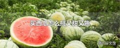 买西瓜怎么挑又甜又熟