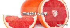 西柚是什么水果