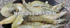 鲜虾怎么冷冻保存为最新鲜