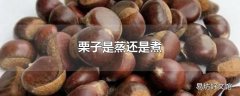 栗子是蒸还是煮