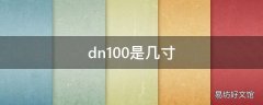 dn100是几寸