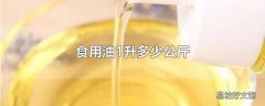 食用油1升多少公斤