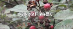 花椒怎么样保存最好