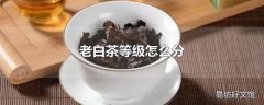 老白茶等级怎么分