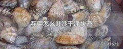 花甲怎么吐沙干净快速