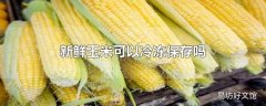 新鲜玉米可以冷冻保存吗