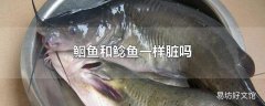 鮰鱼和鲶鱼一样脏吗