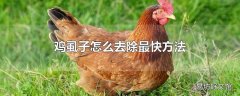 鸡虱子怎么去除最快方法