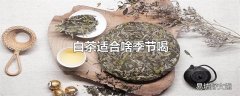 白茶适合啥季节喝