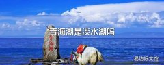 青海湖是淡水湖吗