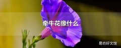 牵牛花像什么