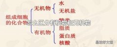 怎么区分有机物和无机物