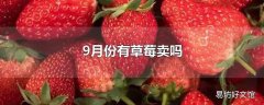 9月份有草莓卖吗