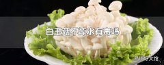 白玉菇不焯水有毒吗