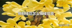 新鲜桂花怎么做桂花茶