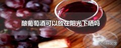 酿葡萄酒可以放在阳光下晒吗