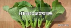 9月份时令蔬菜有哪些