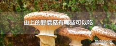 山上的野蘑菇有哪些可以吃