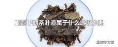 喝剩下的茶叶渣属于什么垃圾分类