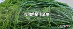 龙须菜是什么菜