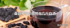 桑葚干500克可泡几斤白酒