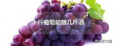 十斤葡萄能酿几斤酒