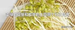 变绿的豆芽和发芽的土豆哪个可以食用