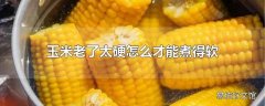 玉米老了太硬怎么才能煮得软