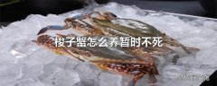 梭子蟹怎么养暂时不死