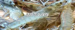 活虾怎么保存