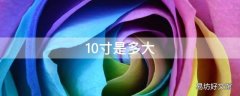 10寸是多大