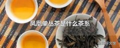 凤凰单丛茶是什么茶系